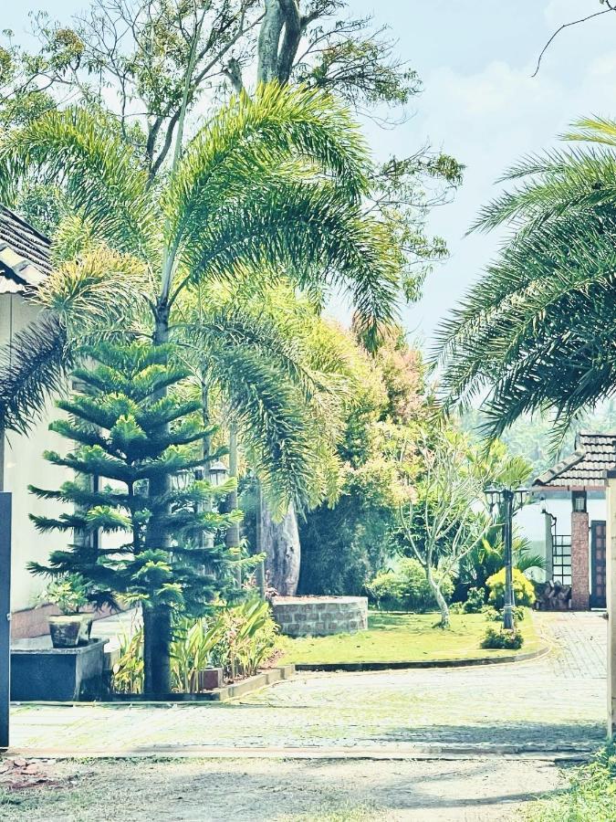 Cherai Lake Resort Cherai Beach Ngoại thất bức ảnh
